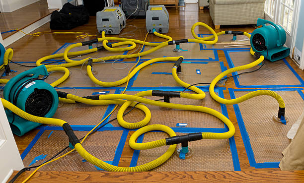 Professional Burst Pipe Water Damage technician working in Freehold, NJ